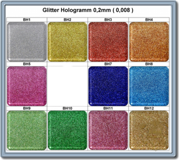 500g Hologramm Glitter 11 Farben zur Auswahl BH